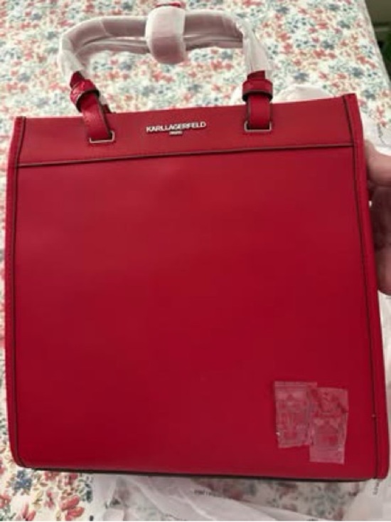 Karl Lagerfeld Handbags - Karl Lagerfeld Cate and Choupette Satchel Backpack Maybelle